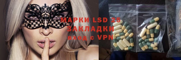 стаф Михайлов
