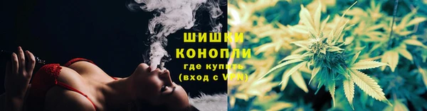 стаф Михайлов