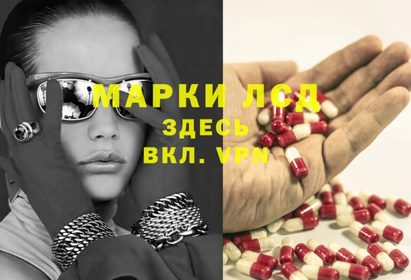 стаф Михайлов