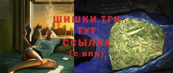 стаф Михайлов